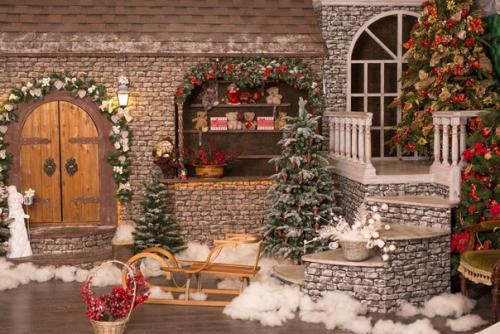 Новогодним фотосессиям быть! 02