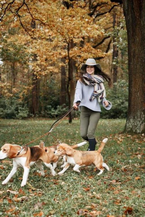 Только эмоции, чувства, доброта и любовь могут сделать человека счастливым. 05