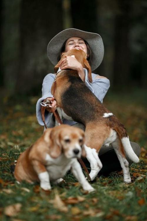 Только эмоции, чувства, доброта и любовь могут сделать человека счастливым. 01