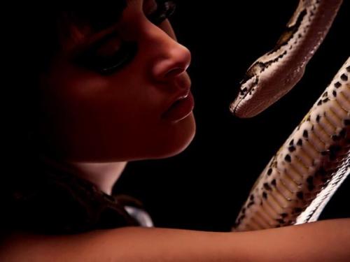 Идет набор участников в фотопроект Холодная Кровь с участием чешуйчатого питомца? 04