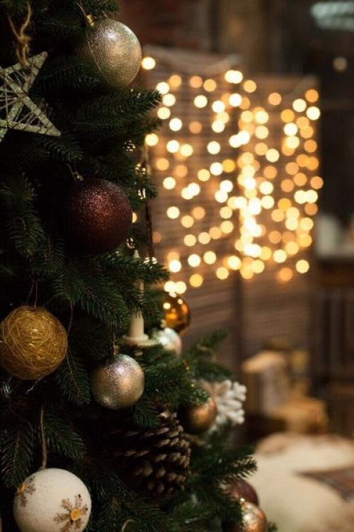 ! 28. Декабря! (Четверг). 07 ! 28. Декабря! (Четверг). 07