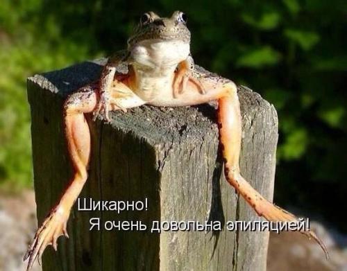 Прическа + макияж в 4 руки! 02