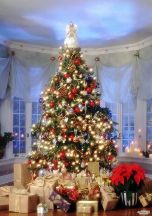 Грядущий 2016 год - красной, огненной обезьяны. 04 Грядущий 2016 год - красной, огненной обезьяны. 04