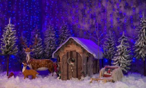 ! 28. Декабря! (Четверг). 03 ! 28. Декабря! (Четверг). 03