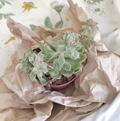 Как научиться не опаздывать? 03 Как научиться не опаздывать? 03