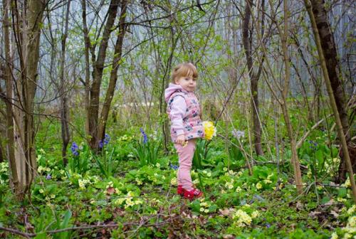 Девочки!  Внимание!  Возьму две фотосессии на это воскресенье и понедельник (3 и 4 апреля. 01
