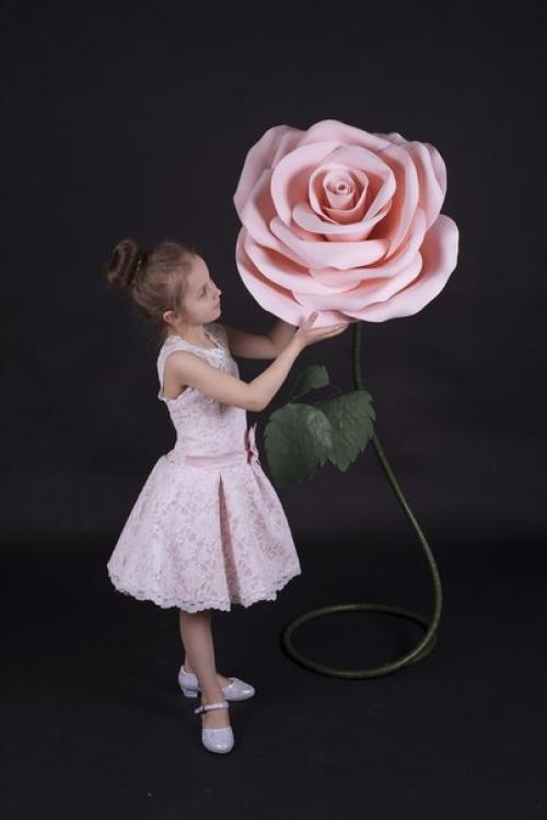 Фотопроект цветы?  Вас ждет красивая фотосессия с огромными цветами? 01