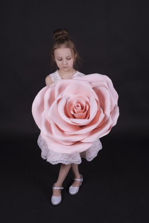 Фотопроект цветы?  Вас ждет красивая фотосессия с огромными цветами? 03