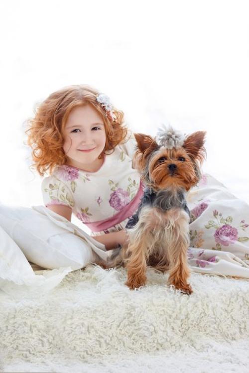 Модели для пополнения портфолио нужны. 04