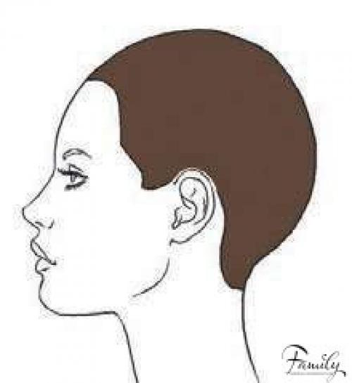 т. 55-11-70. Мастер-класс.  Окрашивание и стрижка. 01