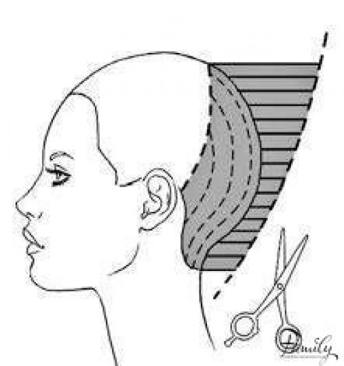 т. 55-11-70. Мастер-класс.  Окрашивание и стрижка. 06