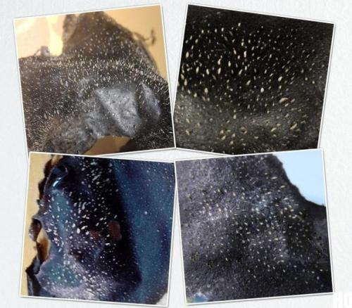 Девоньки, это просто бомба? 01 Девоньки, это просто бомба? 01