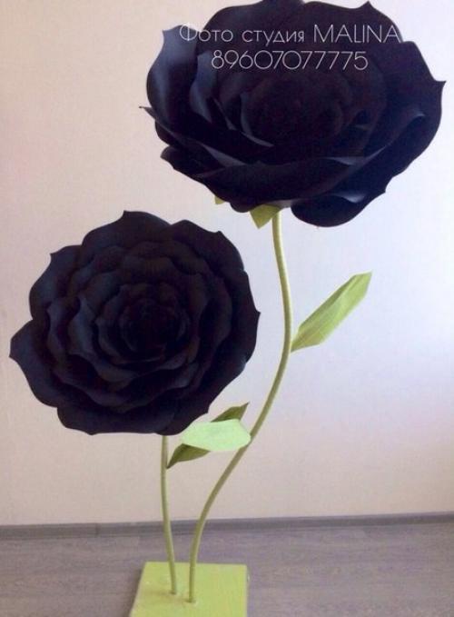 Фотостудия Malina предлагает самые низкие цены и самый необычный интерьер в городе! 02