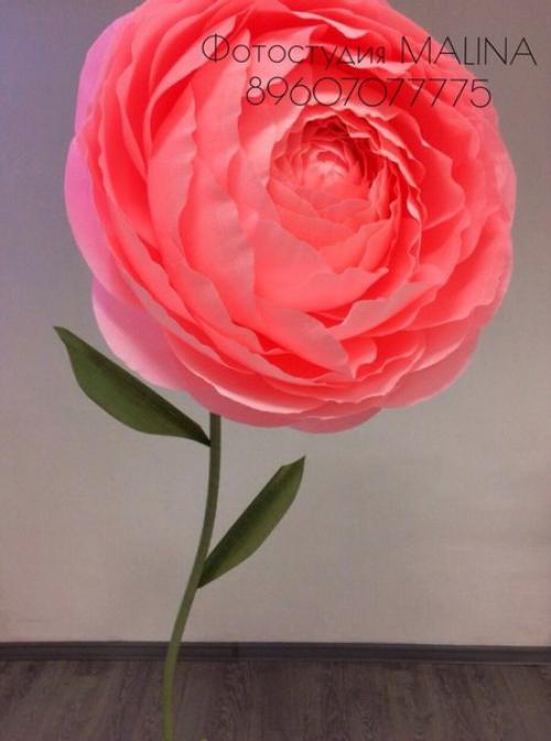 Фотостудия Malina предлагает самые низкие цены и самый необычный интерьер в городе! 01