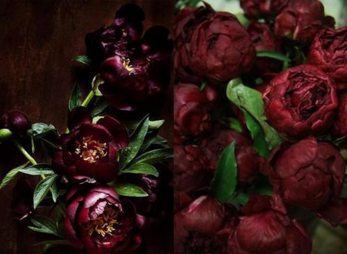 Масква в марсала влюблена! 03