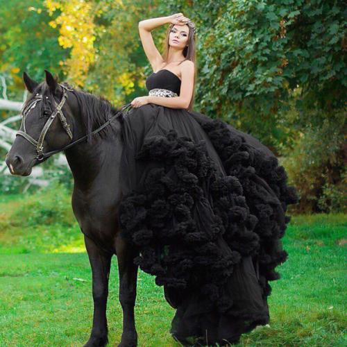 7-Сентября - Днепропетровск. Последний проект на природе с лошадкой? 04