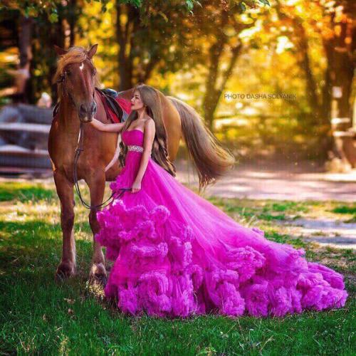 7-Сентября - Днепропетровск. Последний проект на природе с лошадкой? 03