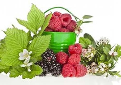 Основные нюансы выбора духов. 05 Основные нюансы выбора духов. 05