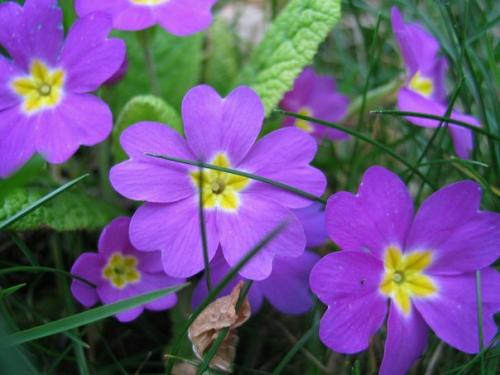 Основные нюансы выбора духов. 04 Основные нюансы выбора духов. 04