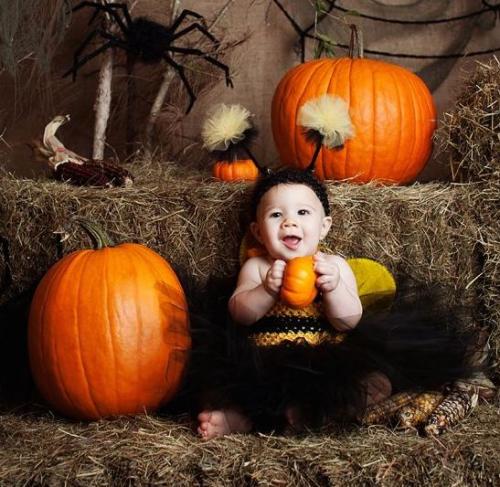 Фотосессии - эксклюзивно!   Две потрясающие фотозоны от студии декора Shalimar и дизайнерской студии Ifstudio. 01