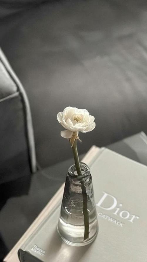 Может ли существовать макияж отдельно от укладки? 01