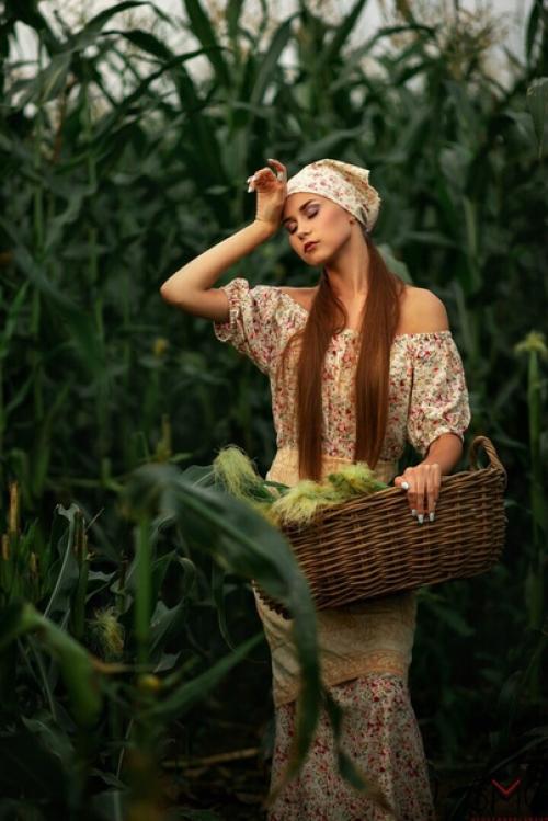 Съемка специально для проекта Сбор Урожая - Кукурузные Поля. 05