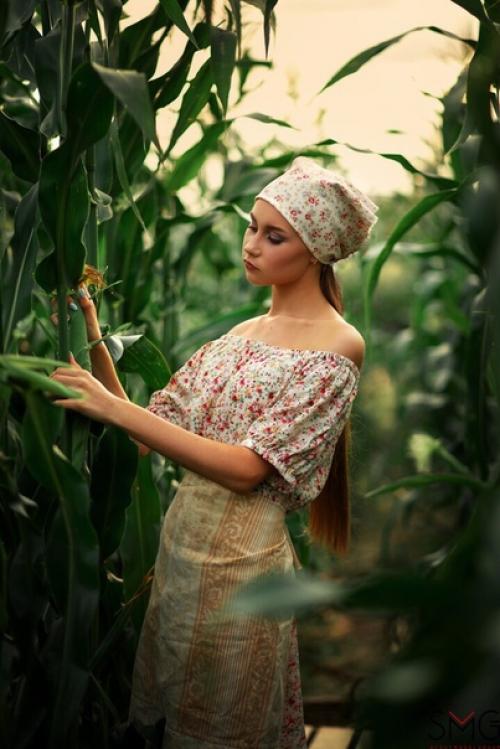 Съемка специально для проекта Сбор Урожая - Кукурузные Поля. 02