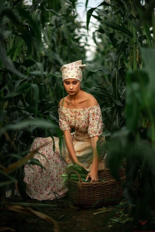 Съемка специально для проекта Сбор Урожая - Кукурузные Поля. 06