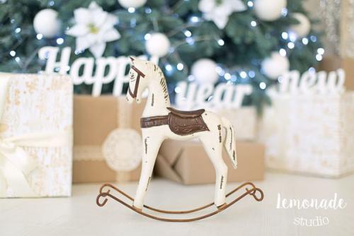 24 ноября!  Фотопроект' новый год не за горами! 02