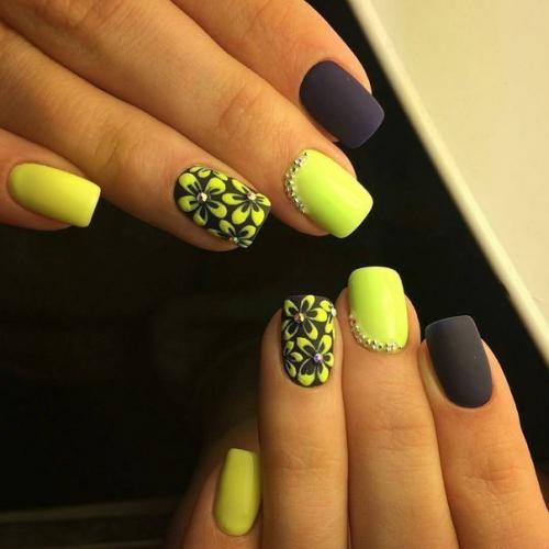 2019 год - год жёлтой земляной свиньи! 03 2019 год - год жёлтой земляной свиньи! 03