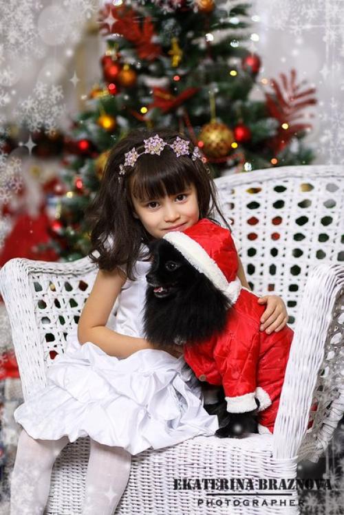 В нашей фотостудии уже появился новогодний интерьер! 06