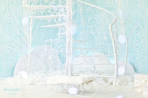 24 ноября!  Фотопроект' новый год не за горами! 06