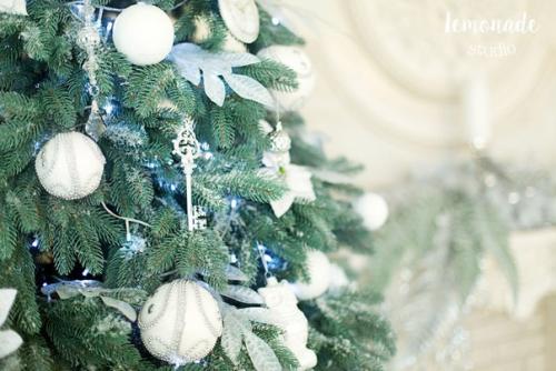 24 ноября!  Фотопроект' новый год не за горами! 01