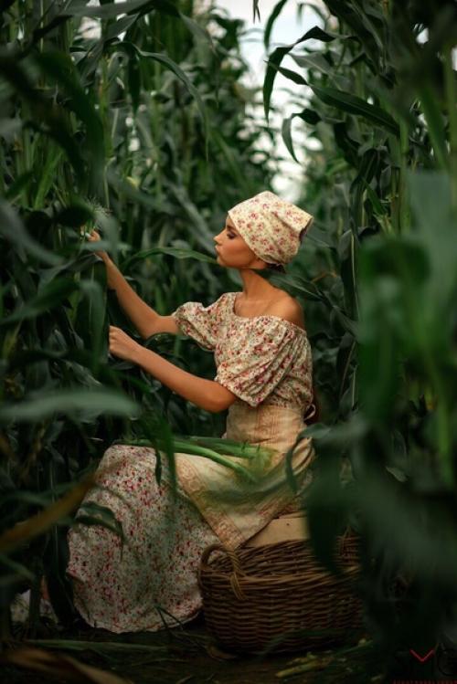 Съемка специально для проекта Сбор Урожая - Кукурузные Поля. 04