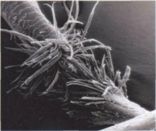 Термозащита волос: зачем и почему. 01