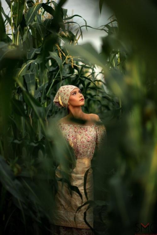 Съемка специально для проекта Сбор Урожая - Кукурузные Поля. 01