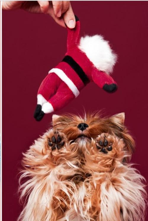 Открыта запись на фотодень Письмо в Сказку. 02