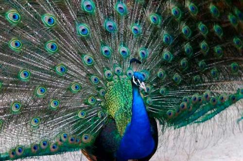 Пятница 18 декабря 2015 года. 01