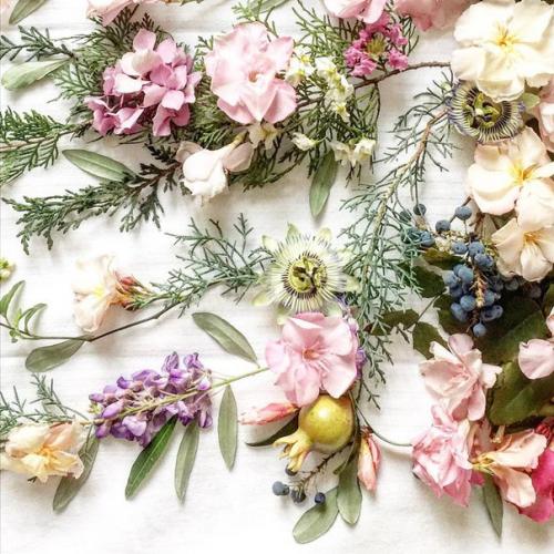 Дорогие девушки и женщины! 01