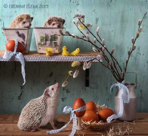 Светлая пасха - мои дорогие, 8 апреля приглашаю вас на тематический фотопроект, посвященный этому замечательному дню? 03