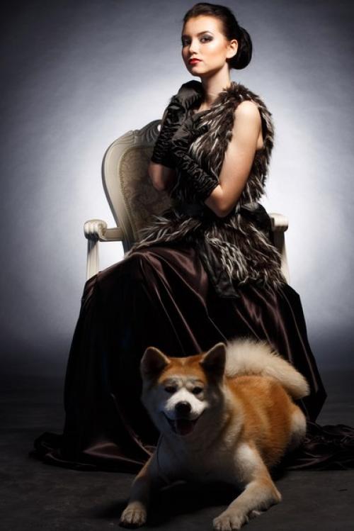 Модели ART Podium для проекта хаски и акита! 02