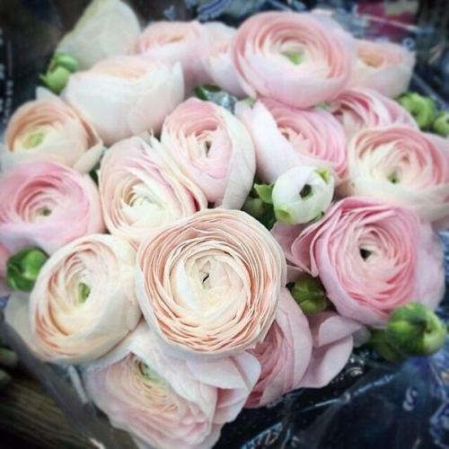 Акция? Только до конца марта? Маникюр Гель лак 800? Педикюр Гель лак 1200? Ламинирование ресничек 1500? 01 Акция? Только до конца марта? Маникюр Гель лак 800? Педикюр Гель лак 1200? Ламинирование ресничек 1500? 01