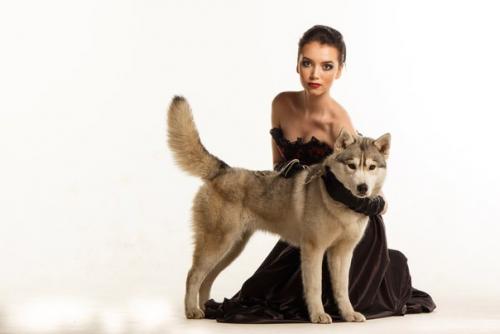 Модели ART Podium для проекта хаски и акита! 04