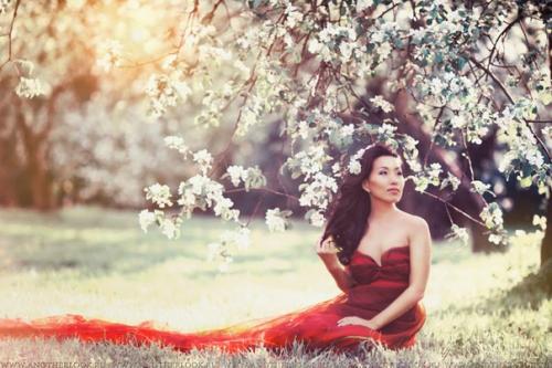 Только в том случае, если вы тоже давно влюблены в картину весенних цветущих садов, то этот фотопроект для вас! 06