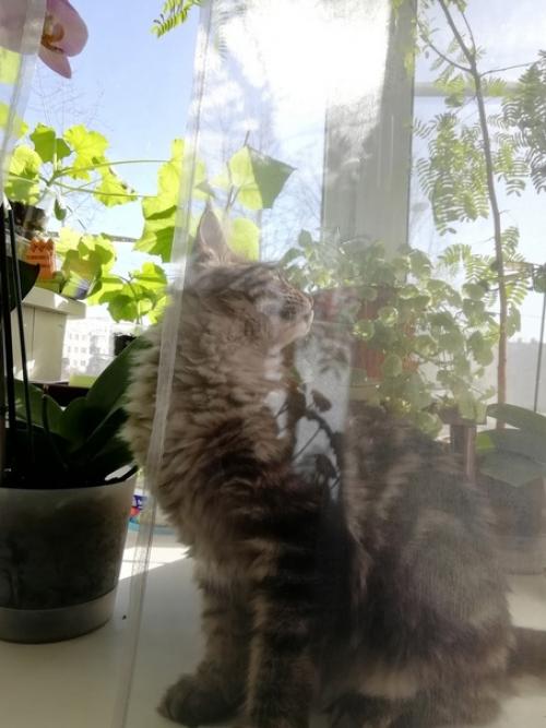 7 признаков того, что у вас настоящий кун. 05