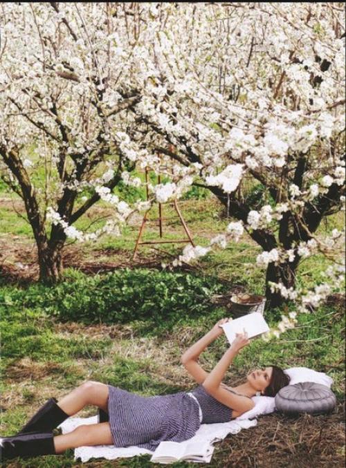 Только в том случае, если вы тоже давно влюблены в картину весенних цветущих садов, то этот фотопроект для вас! 05