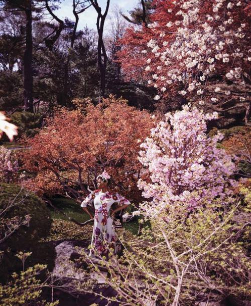 IN Bloom: Амила Эстева в фотосессии Алекси любомирски для Harper's Bazaar US August 2016. 06