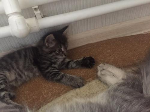 _Пост вопросов_. 1 можно вопрос тем, у кого дети учатся в 33 школе? 01