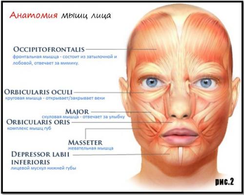 Как похудеть в лице? 01 Как похудеть в лице? 01