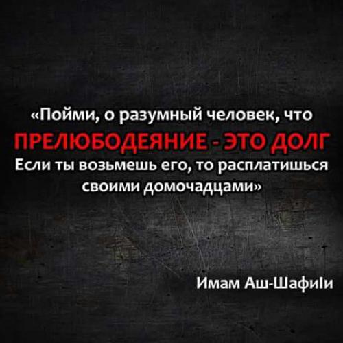 Бомбита в хиджабе? 05